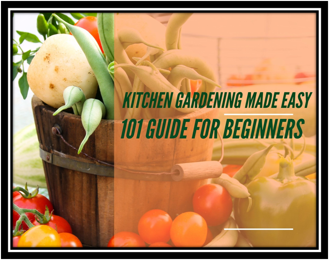 Kitchen Gardening Made Easy | A Basic 101 Guide For Beginners In 2020