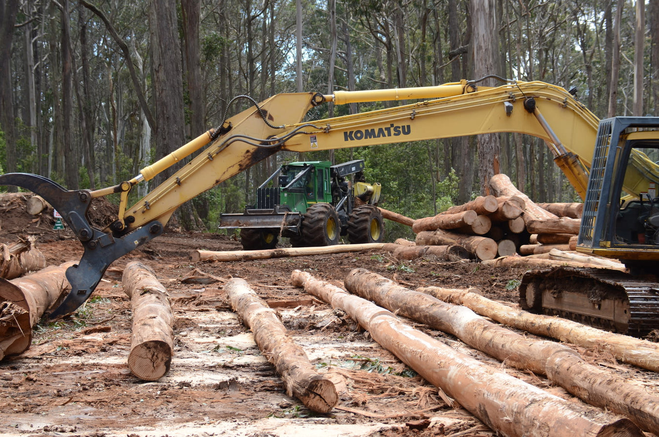 logging-work-boots