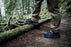ROCKROOSTER Farmington Black 6 Inch Waterproof Hiking Boots with VIBRAM® Outsole  OC21034 - Rock Rooster Footwear Inc